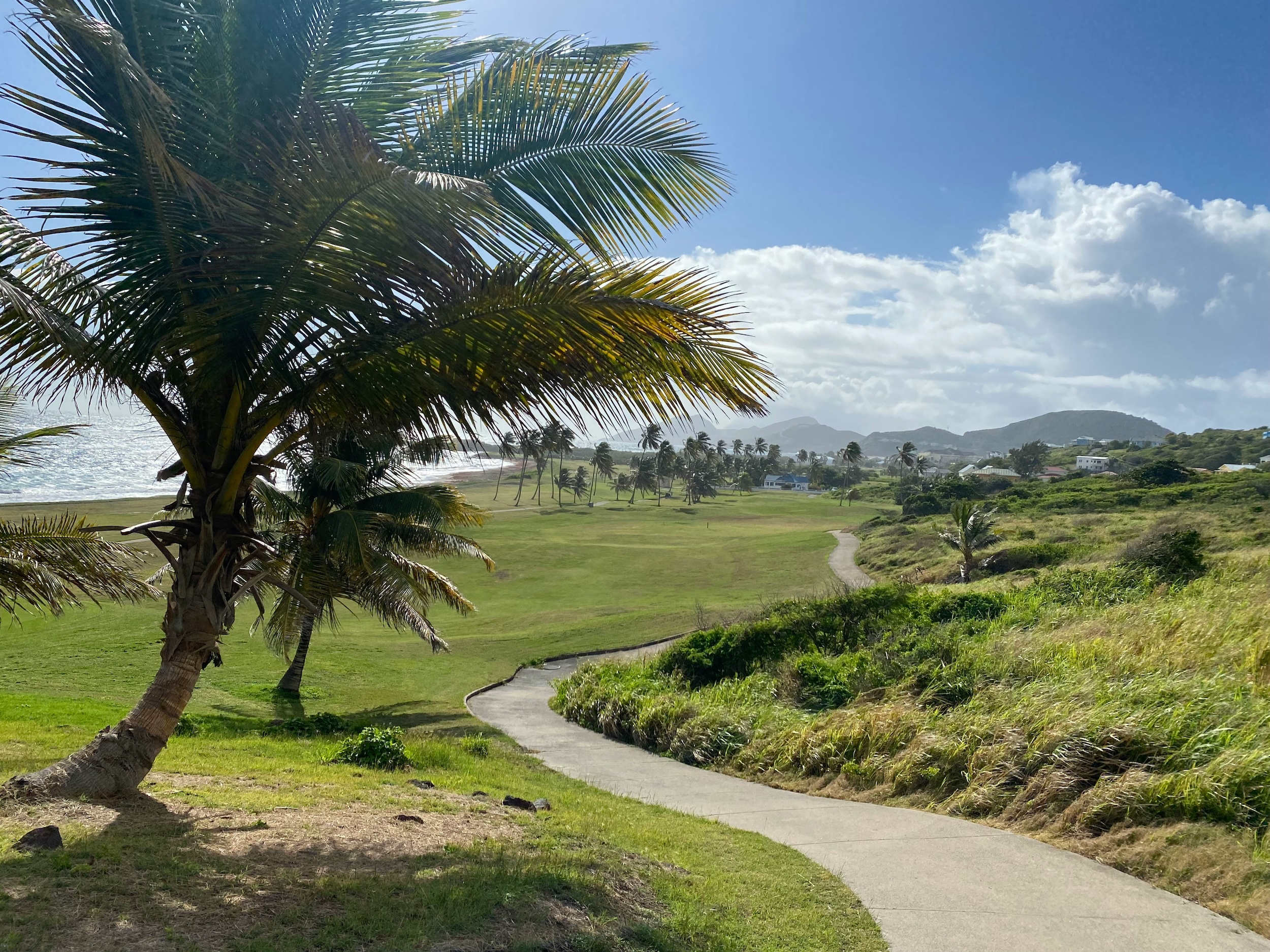 Saint Kitts & Nevis